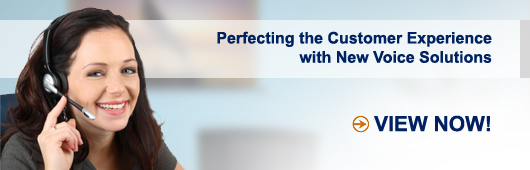 Perfecting the Customer Experience with New Voice Solutions