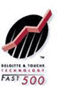 2007 Technology Fast 500 List