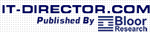 IT-Director